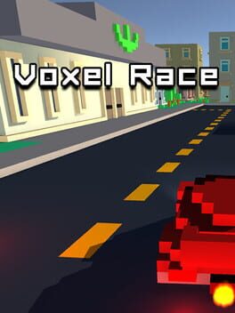 Voxel Race