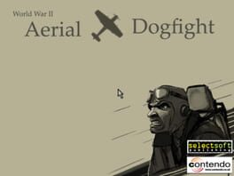 WWII Aerial Dogfight