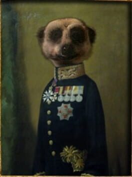 Compare the Meerkat