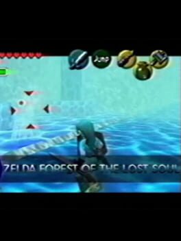 Zelda: Forest of the Lost Soul