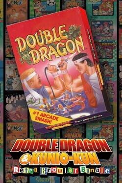 Double Dragon Cover