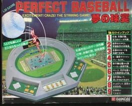 Perfect Baseball: Excitement! Craze! The Stirring Game!