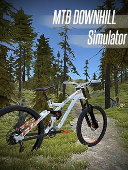 MTB Downhill Simulator